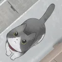 迷途猫(猫咪找家)v1.1 手机版