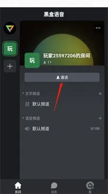 黑盒语音(语音开黑软件)