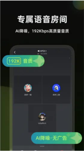 黑盒语音(语音开黑软件)