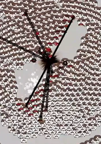 打工是不可能打工的2025下载 打工是不可能打工的2025下载