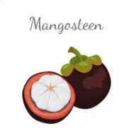 ɽ2025°汾v3.4.1 Ѱ