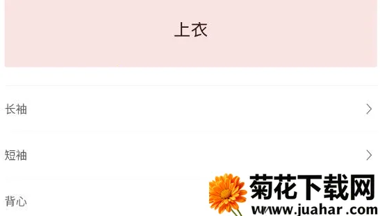 BrandyMelville(BrandyMelville(ƹ))