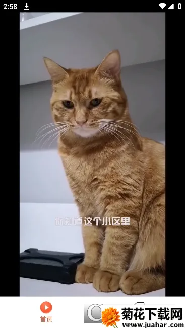 ̾(̾粥ƽ̨)v1.0.0 Ѱ