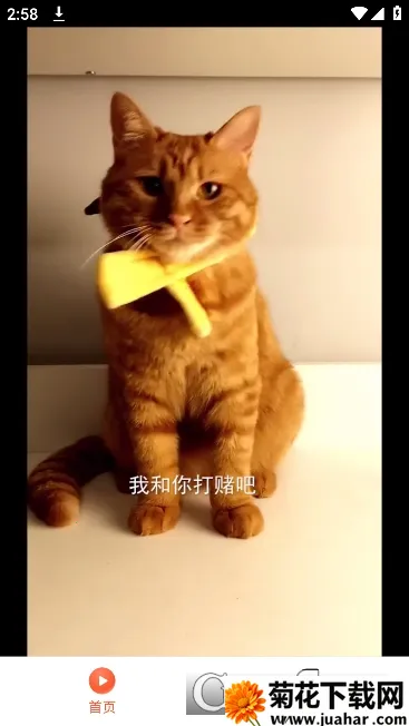 ̾(̾粥ƽ̨)v1.0.0 Ѱ