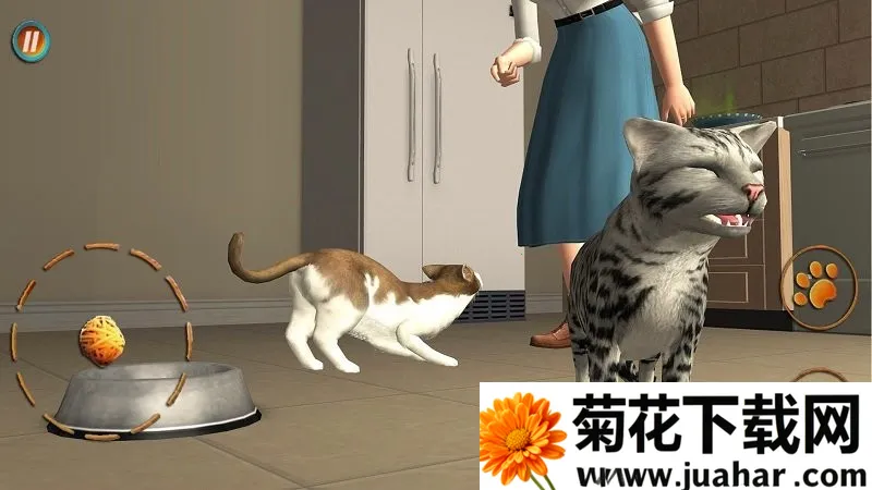 èֻv300.1.0.3018 ׿