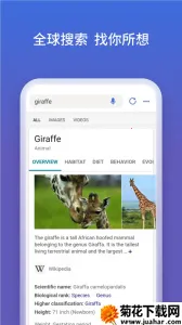 ΢Ӧ2025ٷ°汾v31.4.2110003555 Ѱ