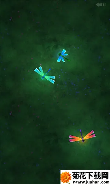 Peppy Cat2025°汾v1.1.0 ֻ