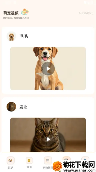 狗猫交流翻译2025下载安装 狗猫交流翻译2025下载安装