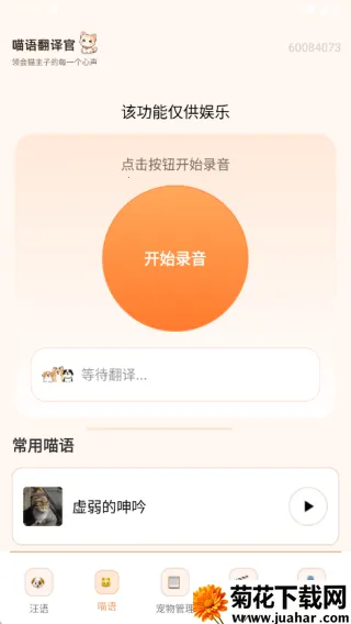狗猫交流翻译2025下载安装 狗猫交流翻译2025下载安装