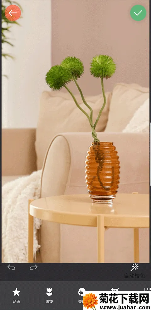 镜像相机2025最新版本 镜像相机2025最新版本