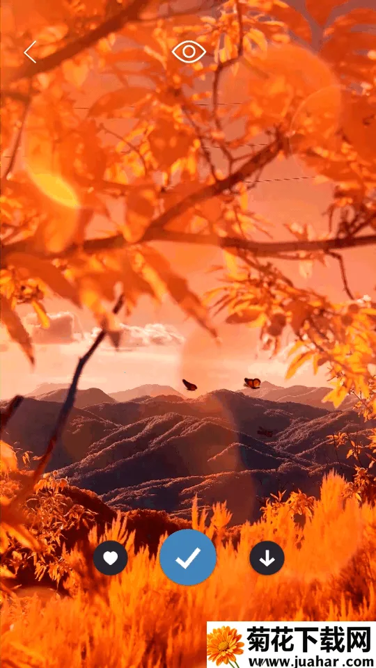 Ƥֽ̻2025ٷv1.4.1 ֻ