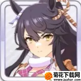 赛马娘(赛马娘养成游戏) 赛马娘(赛马娘养成游戏)