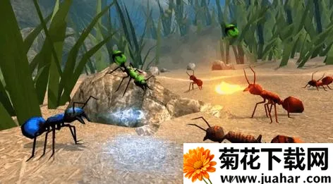 全员加速中之疯狂加速安卓版手机版 全员加速中之疯狂加速安卓版手机版