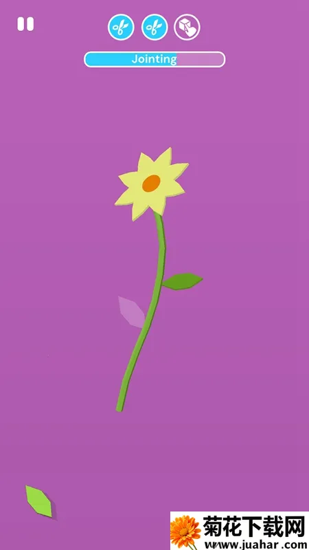 ֽ��������2025���ذ�װ