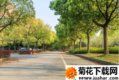 У԰e��ͨ(У԰��������)