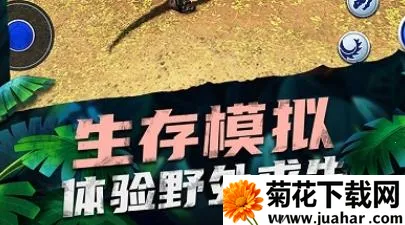 ������԰����(��������ģ����Ϸ)