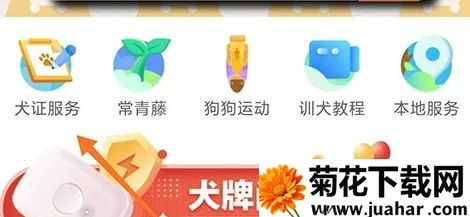 68宠物安卓版手机版 68宠物安卓版手机版