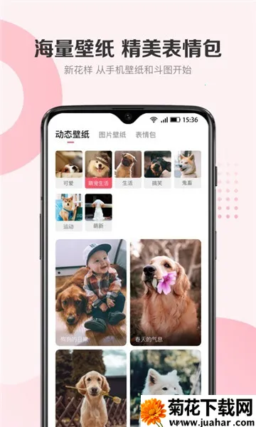 68���ﰲ׿���ֻ���v6.8.3 ��Ѱ�