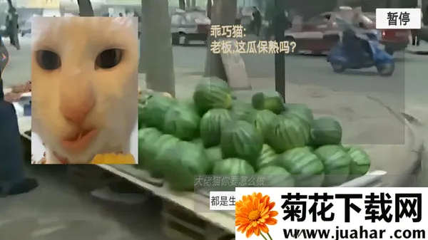 èè����ҹ(�ֲ�������Ϸ)v1.0 ��׿��