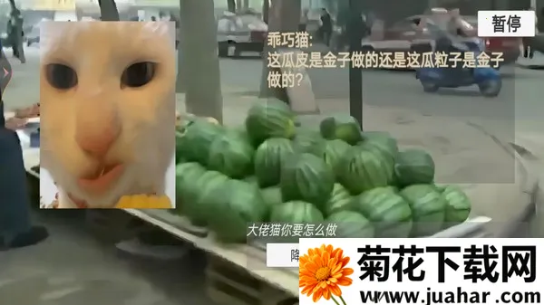 猫猫惊魂夜(恐怖解谜游戏) 猫猫惊魂夜(恐怖解谜游戏)