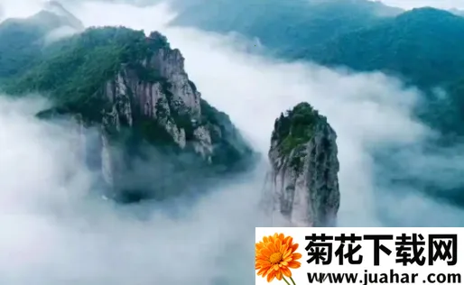 С˵����2025�ٷ�����