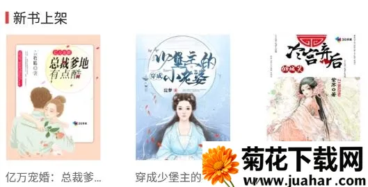 ���С˵2025����