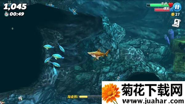 饥饿鲨世界全鲨鱼2025下载安装 饥饿鲨世界全鲨鱼2025下载安装