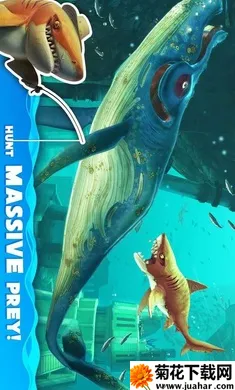 ����������ȫ����2025���ذ�װv2.700.937 �ֻ���