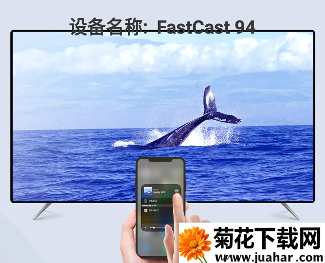 ����Ͷ��2025����