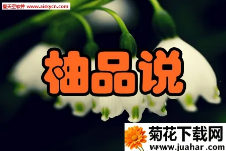 柚品说2025官方正版 柚品说2025官方正版