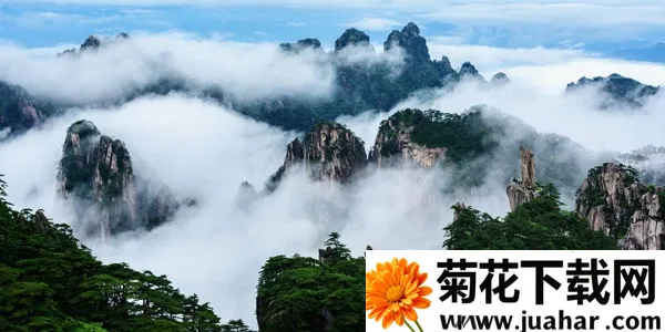 ��ɽ�ٷ�ƽ̨(��ɽ����App)