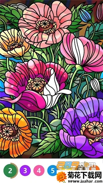 ColorNumber2025���ذ�װv4.20.0 ��׿��