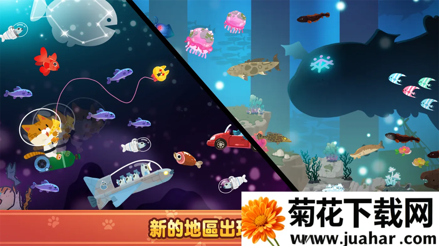 ��׽���è2025���ذ�װv4.3.7 ��׿��