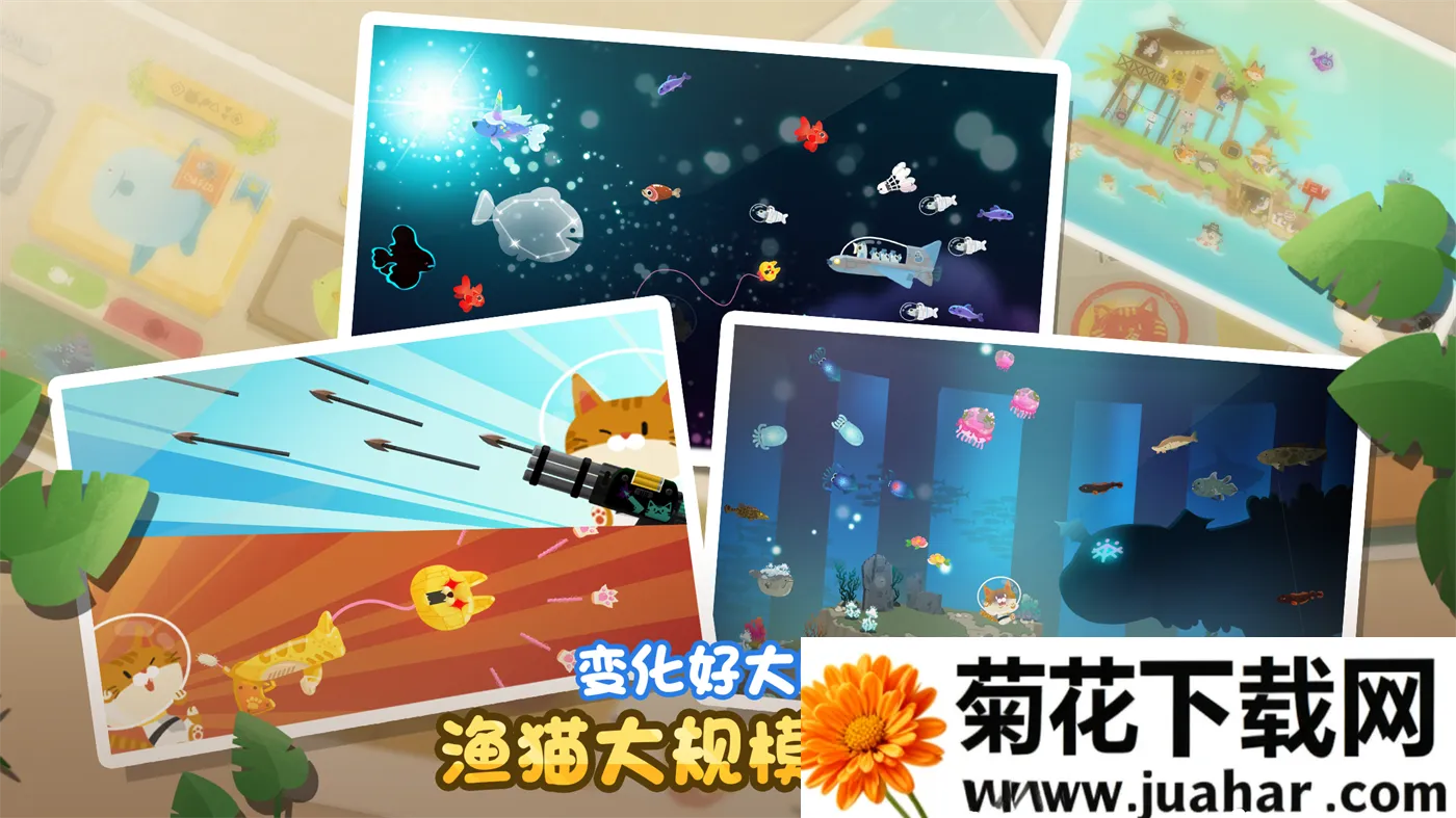 ��׽���è2025���ذ�װv4.3.7 ��׿��