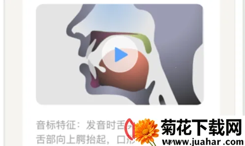 Ӣ������2025�ٷ�����