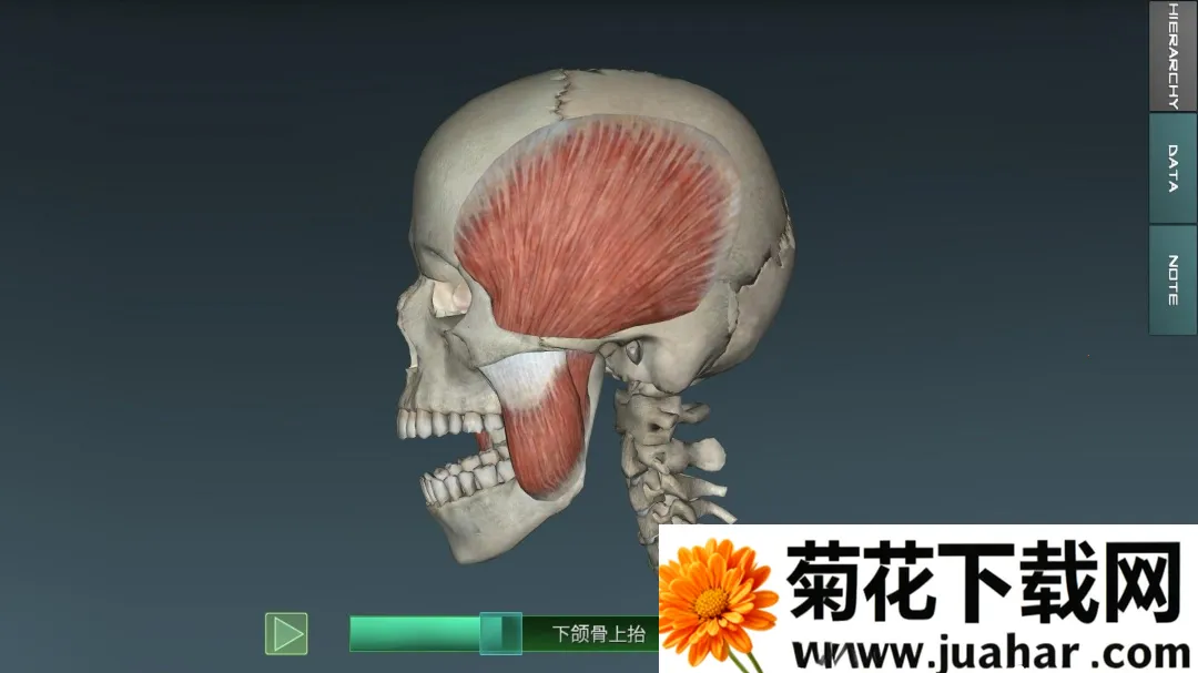 �������ѧͼ�� v(����ѧϰ����)v2025.11.28 ��׿��