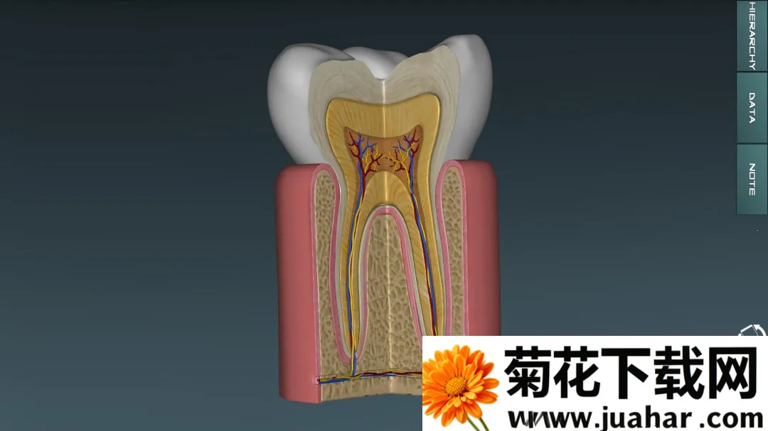 �������ѧͼ�� v(����ѧϰ����)v2025.11.28 ��׿��