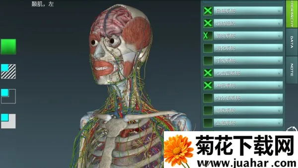 人体解剖学图集 v(解剖学习工具) 人体解剖学图集 v(解剖学习工具)