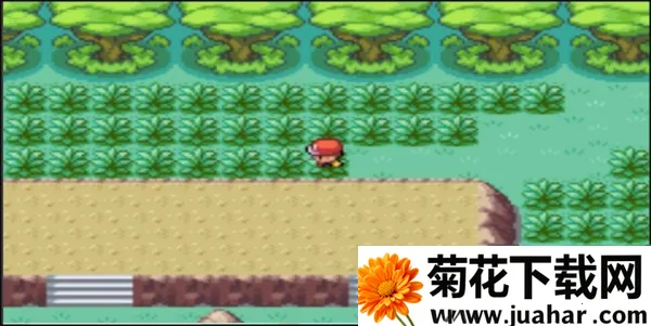 �ڴ�����ȥ��Ƥ����(������������Ϸ)