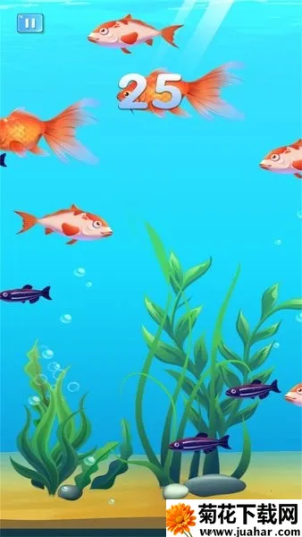 海洋猎杀进化2025官方最新版本 海洋猎杀进化2025官方最新版本