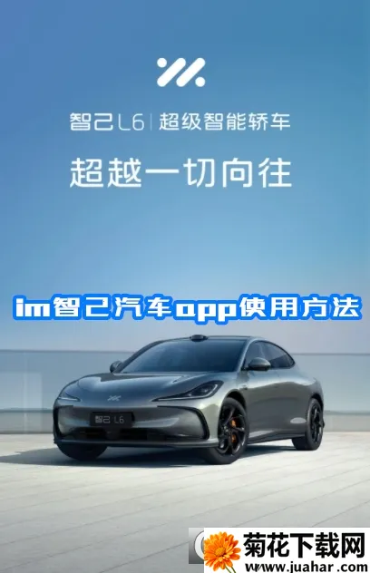 im�Ǽ�����(������������)