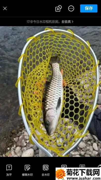 �������(ˮӡ��������)