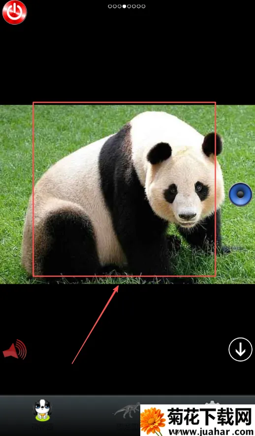 宝宝动物园2026下载安装 宝宝动物园2026下载安装