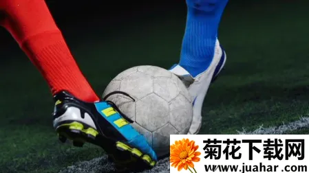 ��������2026�ٷ����°汾