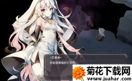 ��Ʒ�������ȵ�ð��2026���ذ�װ