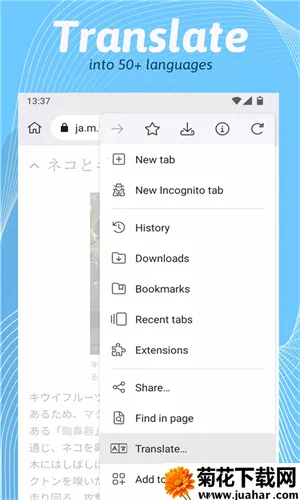 KiwiBrowser�����2026�ٷ�����v139.0.7339.0 ��Ѱ�