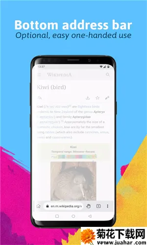 KiwiBrowser�����2026�ٷ�����v139.0.7339.0 ��Ѱ�