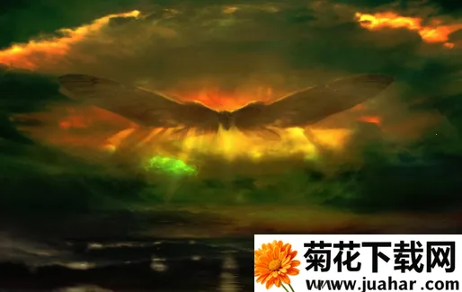 兄弟影视(影视播放软件) 兄弟影视(影视播放软件)