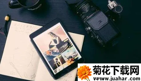 chic�������(�����������)