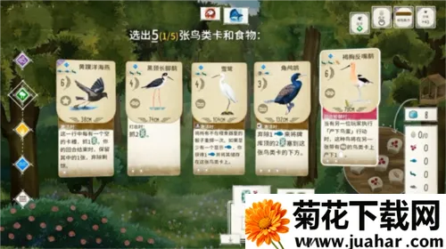 չ�᰿��(���࿨����Ϸ)